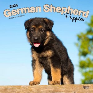 German Shepherd Puppies 2024 Calendars