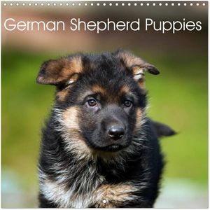 German Shepherd Puppies 2024 Calendar