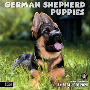 German Shepherd Puppies 2024 Wall Calendar