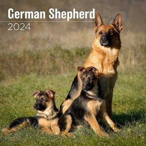 German Shepherd 2024 Calendar