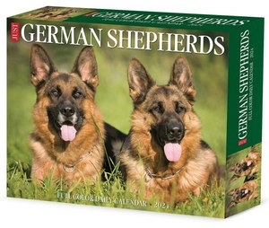 German Shepherds 2024 Calendar
