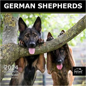 German Shepherds 2024 Wall Calendar