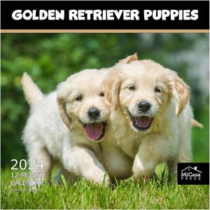 Golden Retriever Puppies 2024 Wall Calendar