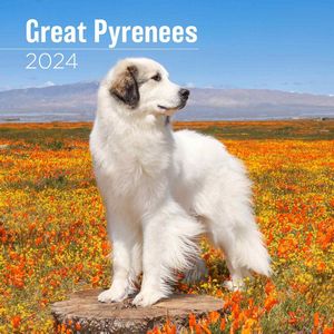 Great Pyrenees 2024 Calendar