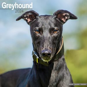 Greyhound 2024 Calendar