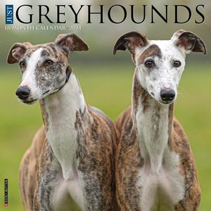Greyhounds 2024 Calendar