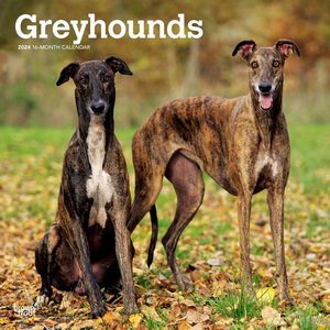 Greyhounds 2024 Calendar