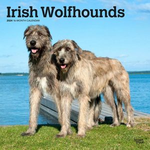 Irish Wolfhounds 2024 Calendar