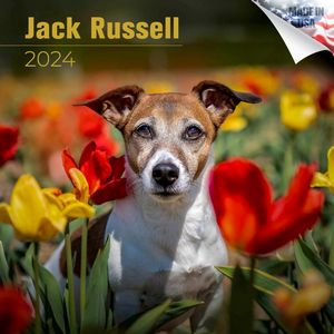 Jack Russell 2024 Calendar