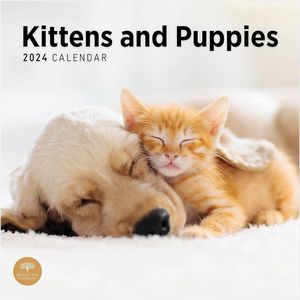 Kittens and Puppies 2024 Calendar