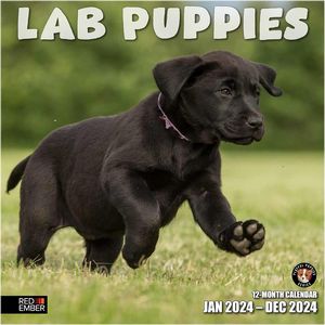 Lab Puppies 2024 Wall Calendar
