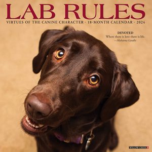 Lab Rules 2024 Calendar