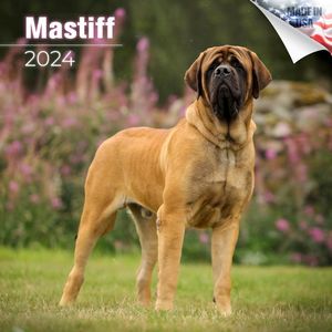 Mastiff 2024 Calendar