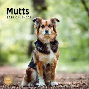 Mutts 2024 Calendar