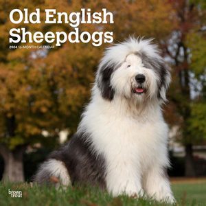 Old English Sheepdogs 2024 Calendars | Dog-Calendars.com