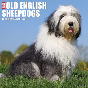 Old English Sheepdogs 2024 Calendars | Dog-Calendars.com