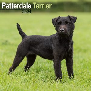 Patterdale Terrier 2024 Calendar