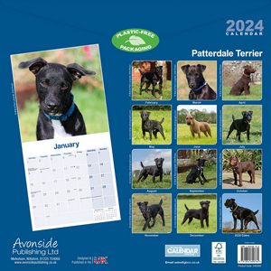 Patterdale Terrier 2024 Calendar