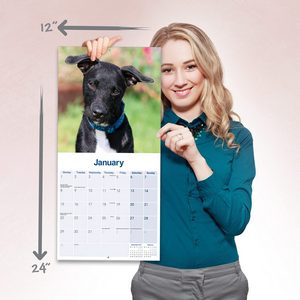 Patterdale Terrier 2024 Calendar | Dog-Calendars.com