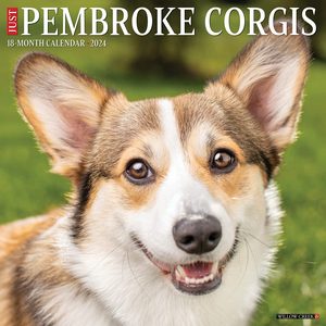 Pembroke Corgis 2024 Calendar