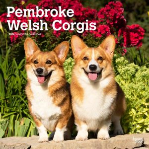 Pembroke Welsh Corgis 2024 Calendar