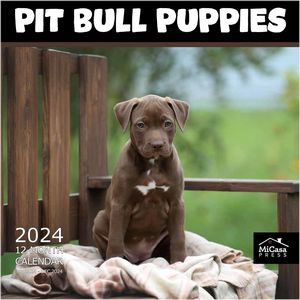 Pit Bull Puppies 2024 Calendar
