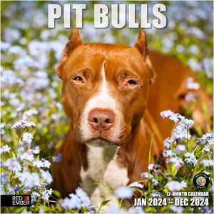 Pit Bulls 2024 Calendar