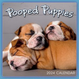 Pooped Puppies 2024 Calendar