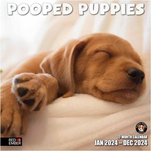 Pooped Puppies 2024 Calendar