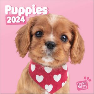 Puppies 2024 Calendar