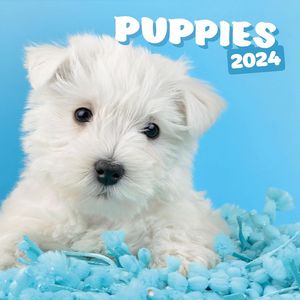 Puppies 2024 Calendar