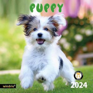 Puppy 2024 Calendar