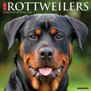 Rottweilers 2024 Calendar