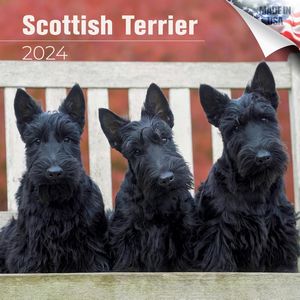 Scottish Terrier 2024 Calendar