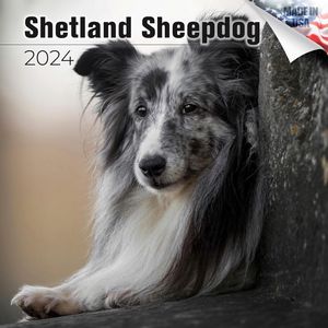 Shetland Sheepdog 2024 Calendar