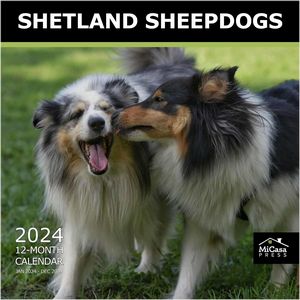Shetland Sheepdogs 2024 Wall Calendar