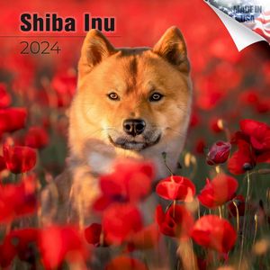 Shiba Inu 2024 Wall Calendar