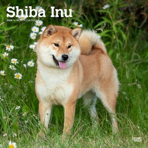 Shiba Inu 2024 Calendar