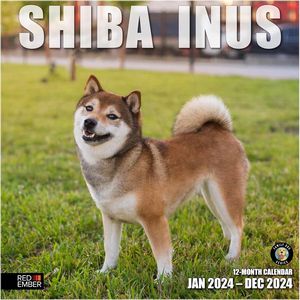 Shiba Inus 2024 Calendar