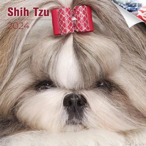 Shih Tzu 2024 Calendar