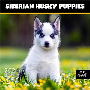 Siberian Husky Puppies 2024 Calendar