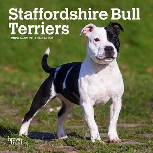 Staffordshire Bull Terriers 2024 Calendar