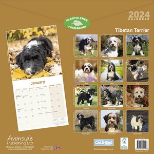 Tibetan Terrier 2024 Calendar