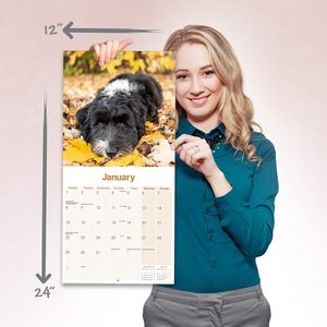 Tibetan Terrier 2024 Calendar