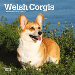 Welsh Corgis 2024 Calendar