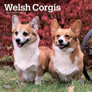 Welsh Corgis 2024 Calendar