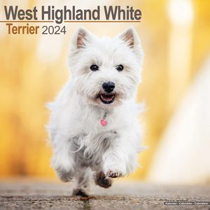 West Highland White Terrier 2024 Calendar