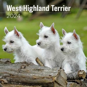 West Highland Terrier 2024 Wall Calendar