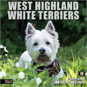 West Highland White Terriers 2024 Calendar