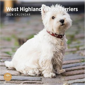West Highland White Terriers 2024 Calendar